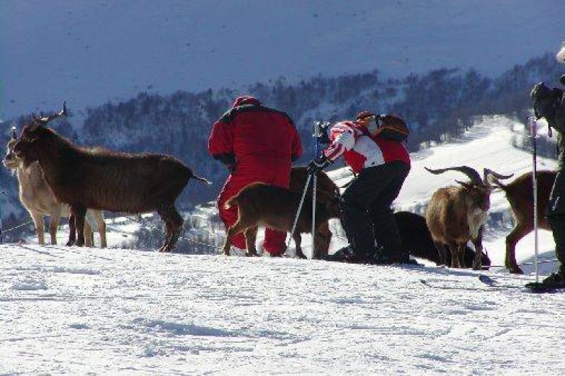 Location de vacances - Studio à Le Corbier