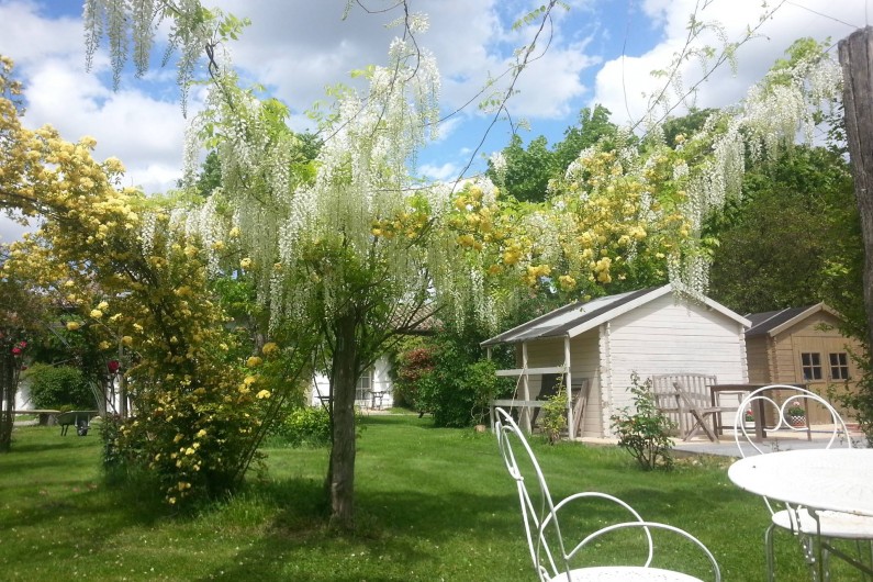Location de vacances - Chambre d'hôtes à Saint-Thomas - Salon de jardin sous une glycine