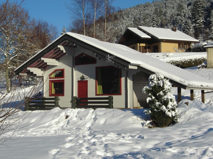 Location de vacances - Chalet à La Bresse - Chalet en hiver