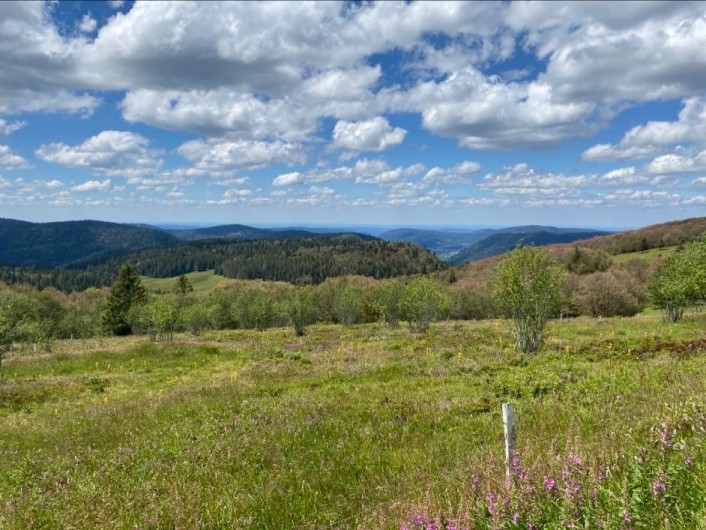Location de vacances - Chalet à La Bresse