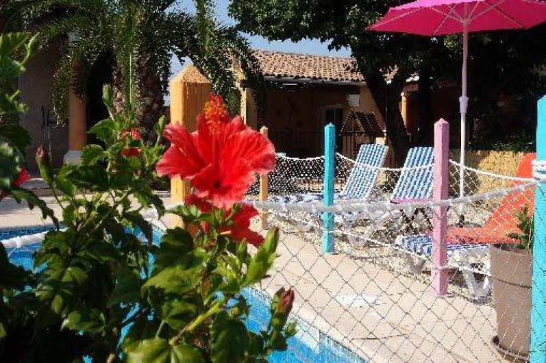 Location de vacances - Gîte à Alès