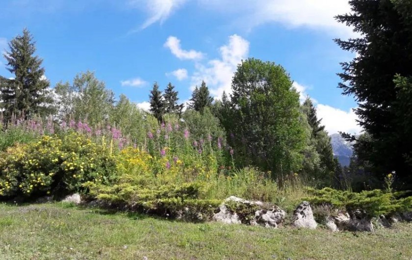 Location de vacances - Appartement à Corrençon-en-Vercors