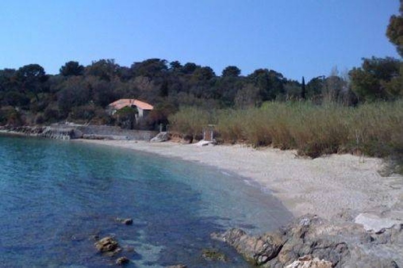 Location de vacances - Maison - Villa à Hyères