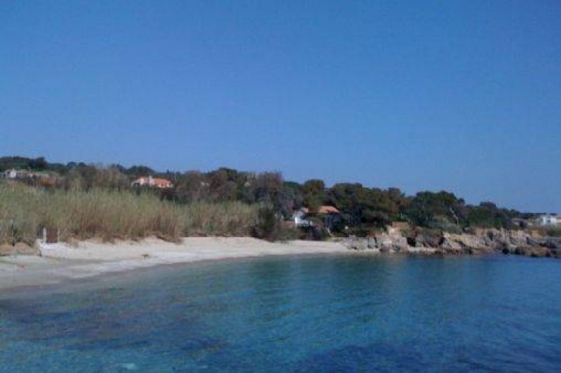 Location de vacances - Maison - Villa à Hyères