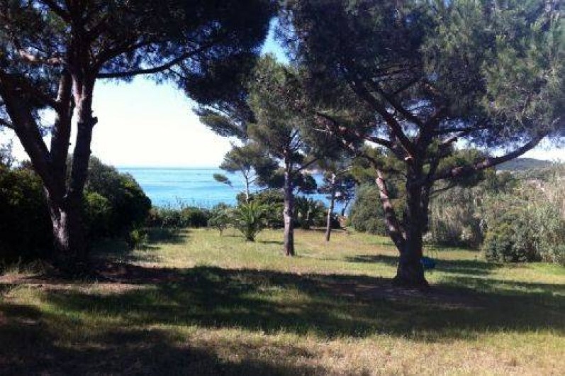 Location de vacances - Maison - Villa à Hyères