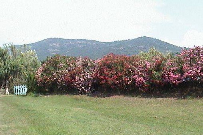 Location de vacances - Bungalow - Mobilhome à Cargèse