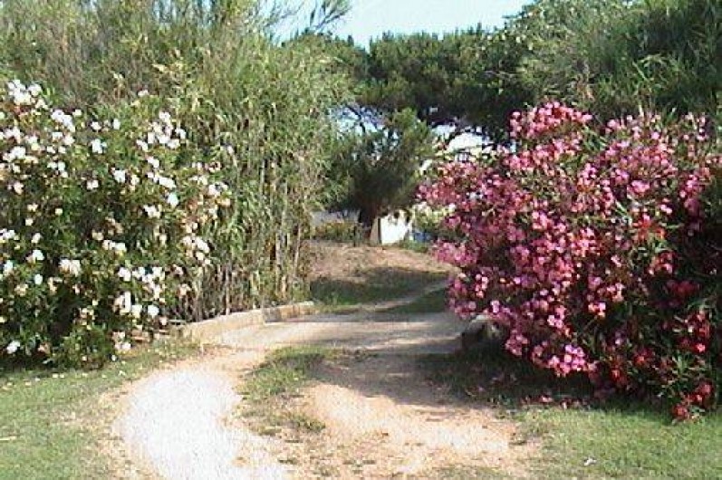Location de vacances - Bungalow - Mobilhome à Cargèse