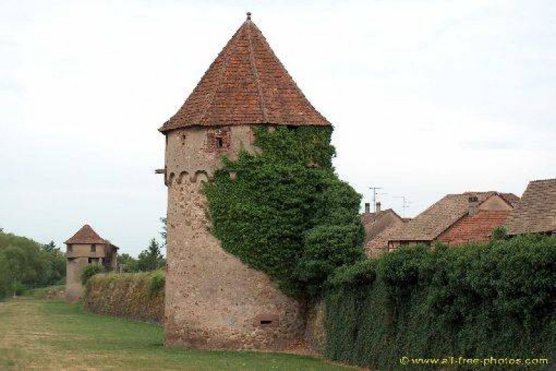 Location de vacances - Gîte à Bergheim