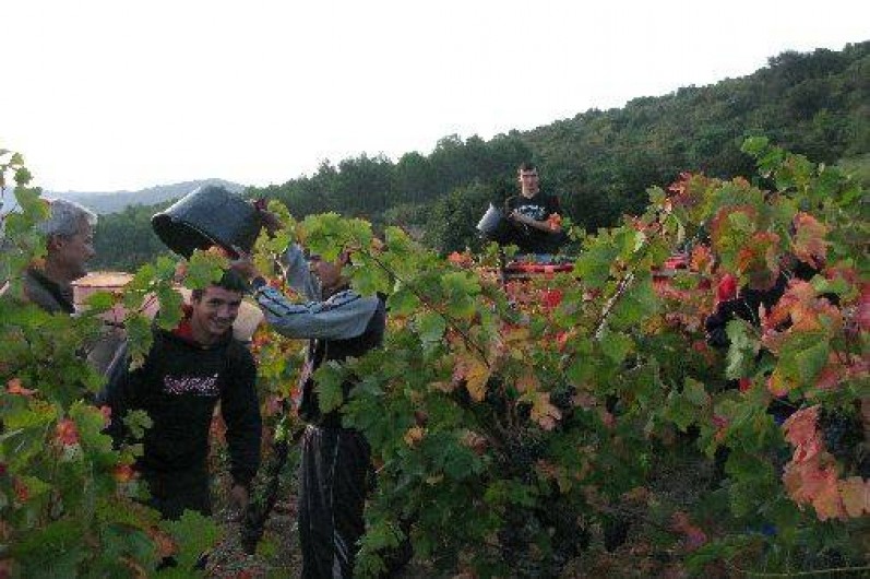 Location de vacances - Maison - Villa à Villeneuve-les-Corbières