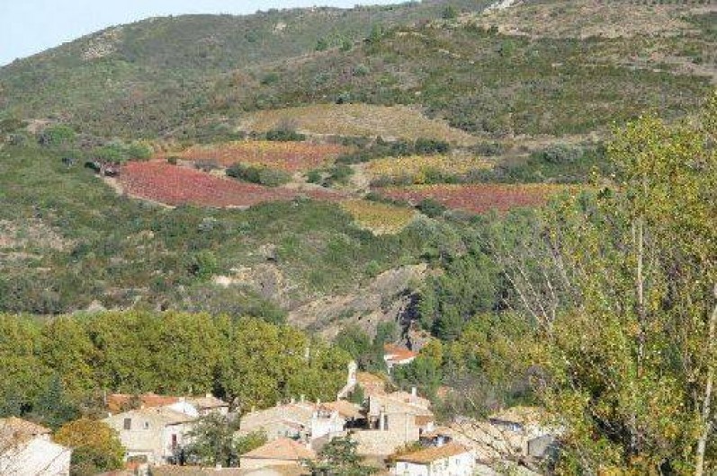 Location de vacances - Maison - Villa à Villeneuve-les-Corbières