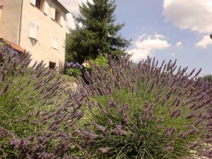 Location de vacances - Appartement à Le Bar-sur-Loup - LES LAVANDES DE NOTRE JARDIN