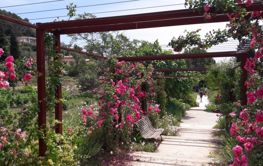 Location de vacances - Appartement à Le Bar-sur-Loup - #JARDIN.DU.MIP a 20mn de nos gites