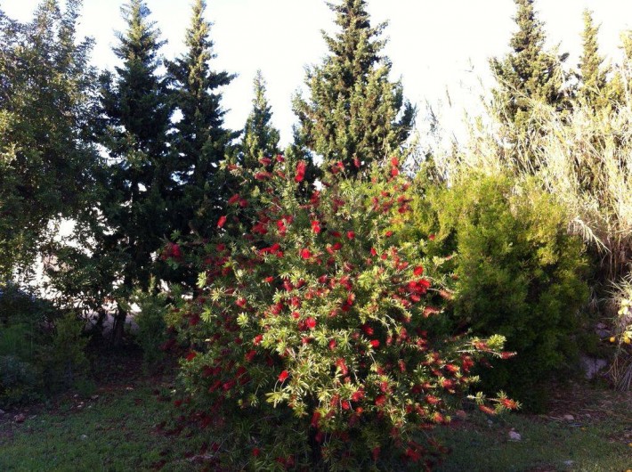 Location de vacances - Villa à Tavira