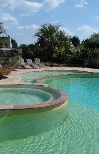 Location de vacances - Maison - Villa à Mazan - Piscine avec son Spa et petit bassin