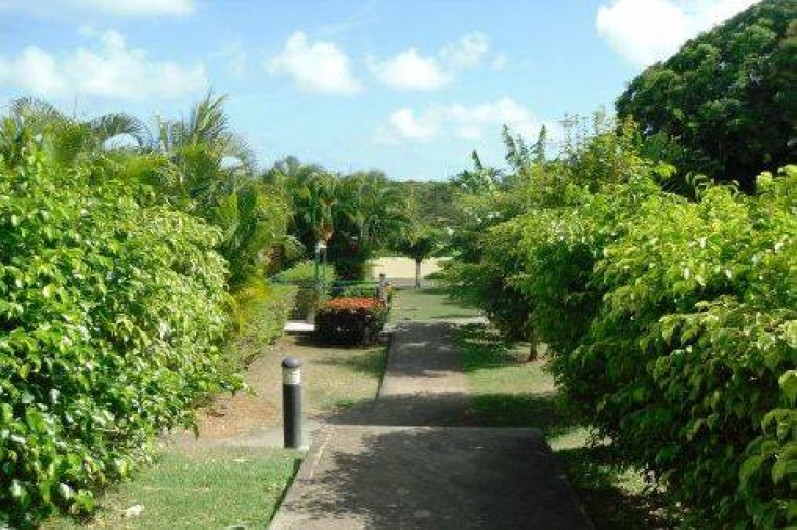 Location de vacances - Appartement à Sainte-Anne