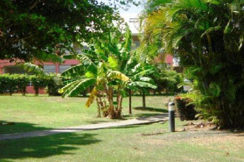 Location de vacances - Appartement à Sainte-Anne