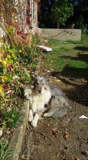 Location de vacances - Appartement à Peyrilles