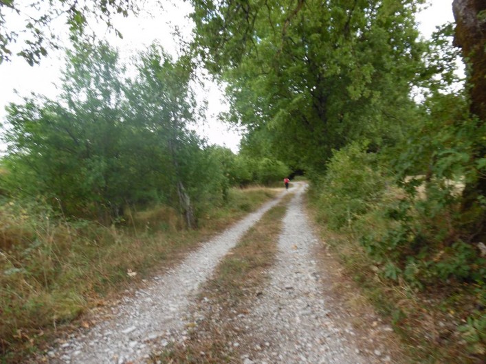 Location de vacances - Appartement à Peyrilles