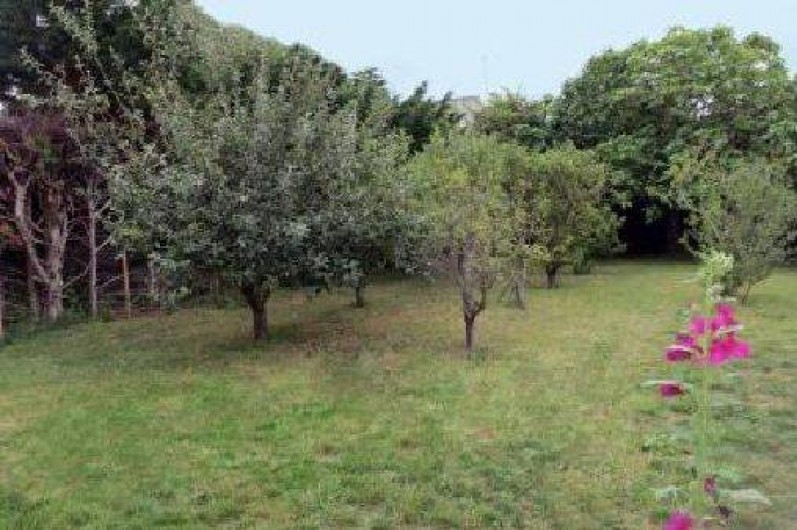 Location de vacances - Maison - Villa à Saint-Clément-des-Baleines