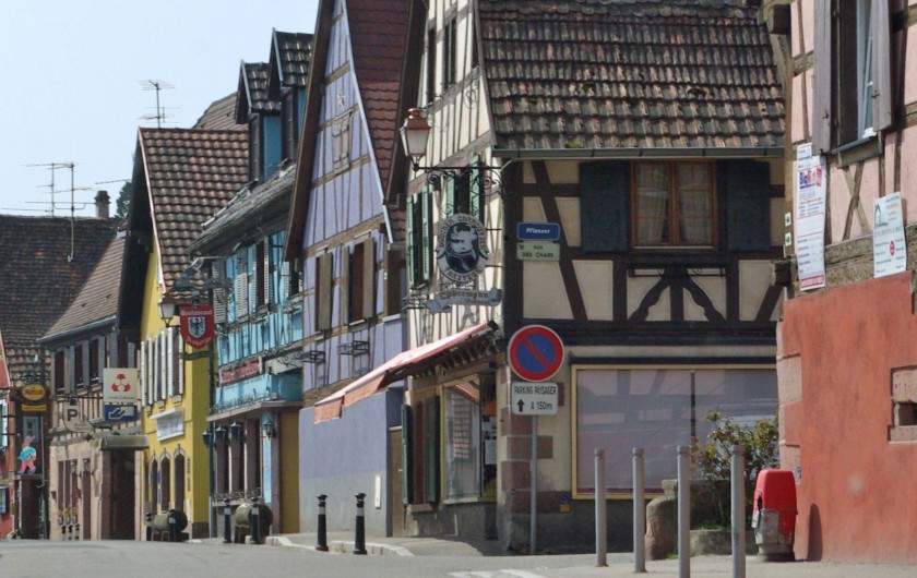 Location de vacances - Gîte à Kintzheim - Kintzheim