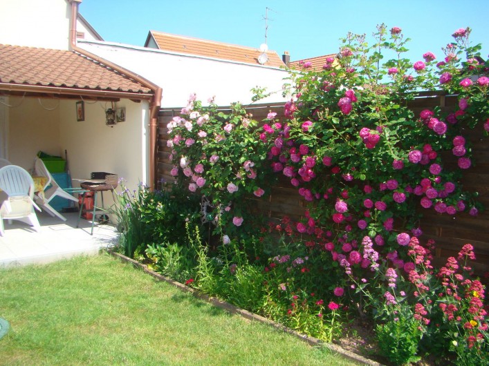 Location de vacances - Gîte à Kintzheim - Jardin
