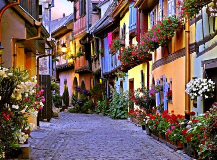 Location de vacances - Gîte à Kintzheim - Village  D'alsace