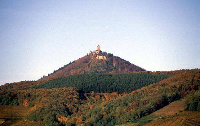 Location de vacances - Gîte à Kintzheim - Haut-Koenigsbourg
