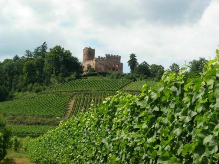 Location de vacances - Gîte à Kintzheim - Château de Kintzheim
