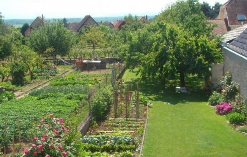 Location de vacances - Gîte à Kintzheim - Jardin