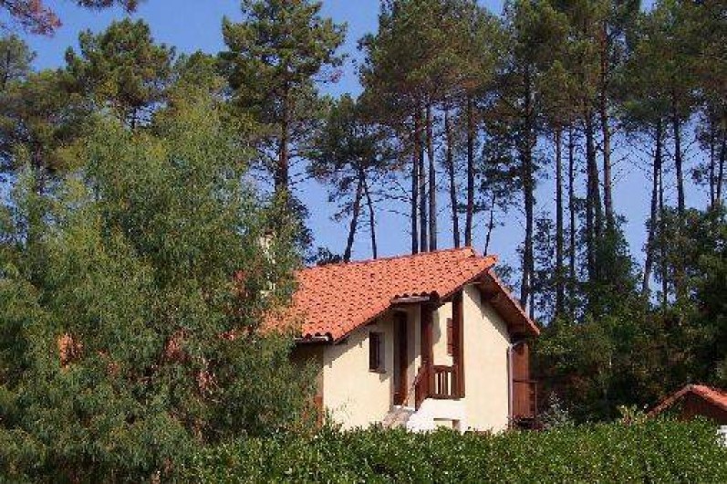 Location de vacances - Villa à Messanges - vue coté est