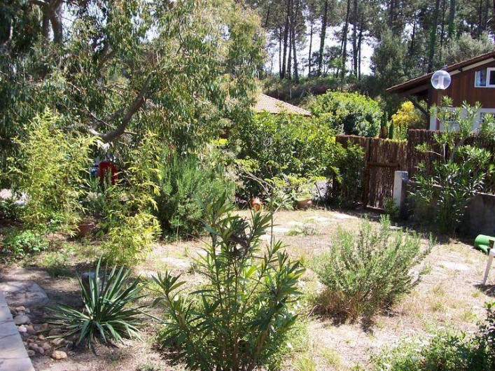Location de vacances - Villa à Messanges - jardin sud