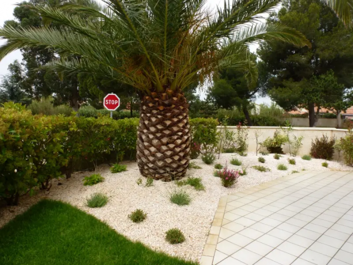 Location de vacances - Appartement à Saint-Cyprien Plage