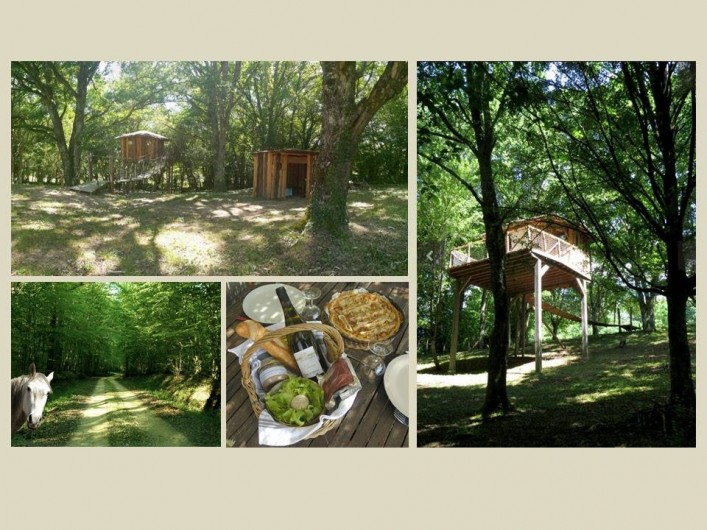 Location de vacances - Gîte à Donzy - Cabane chambre d'hôte
