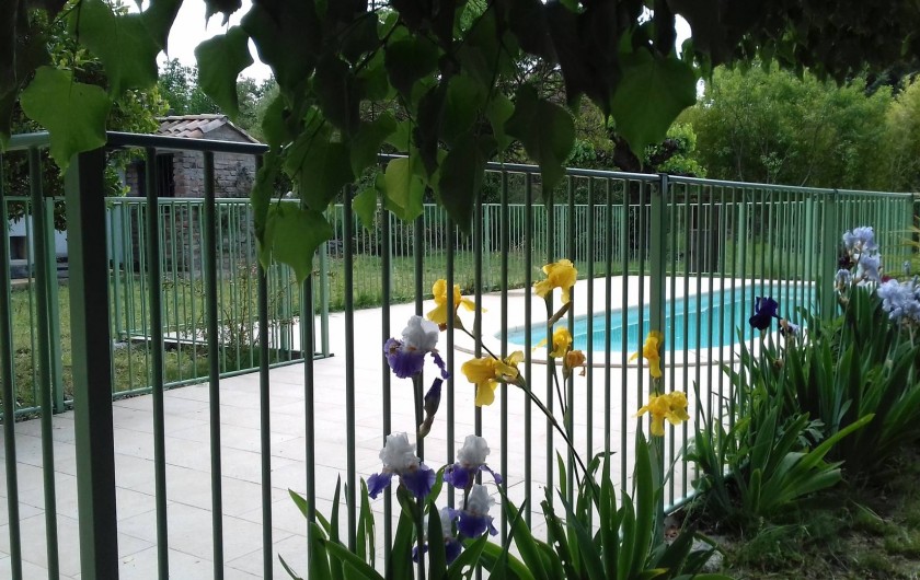 Location de vacances - Mas à Saint-Hilaire-de-Brethmas