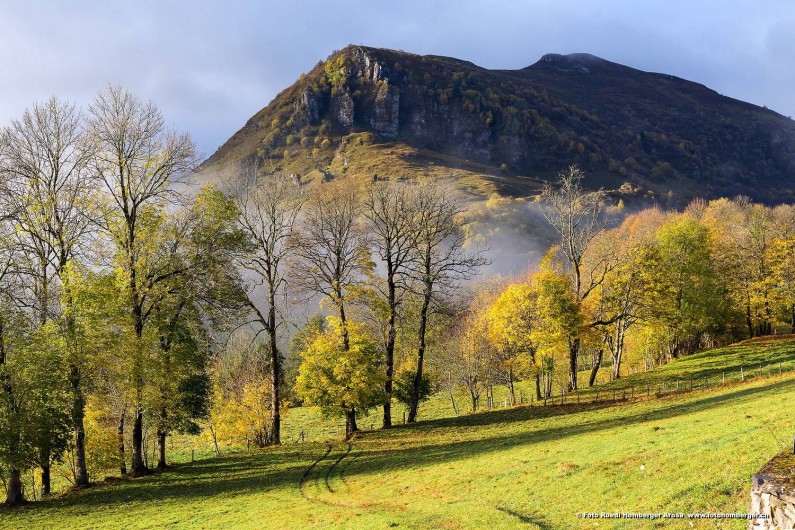 Location de vacances - Chambre d'hôtes à Lavigerie