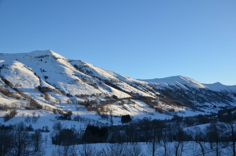 Location de vacances - Chambre d'hôtes à Lavigerie