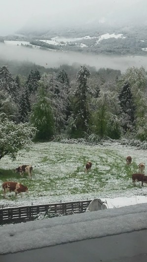 Location de vacances - Appartement à Charvonnex - nos voisines