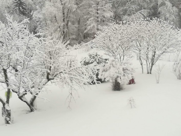 Location de vacances - Appartement à Charvonnex - jardin l'hiver