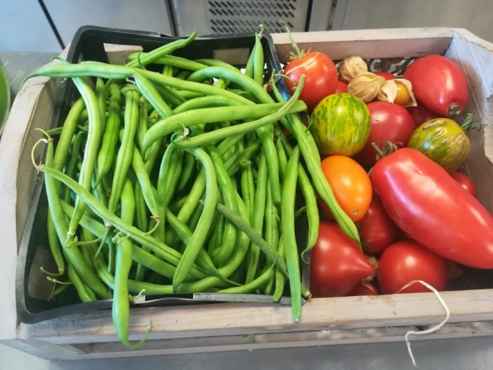 Location de vacances - Appartement à Charvonnex - la récolte au potager