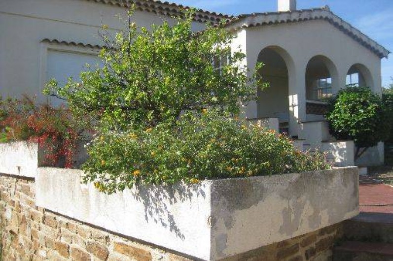 Location de vacances - Villa à Le Lavandou