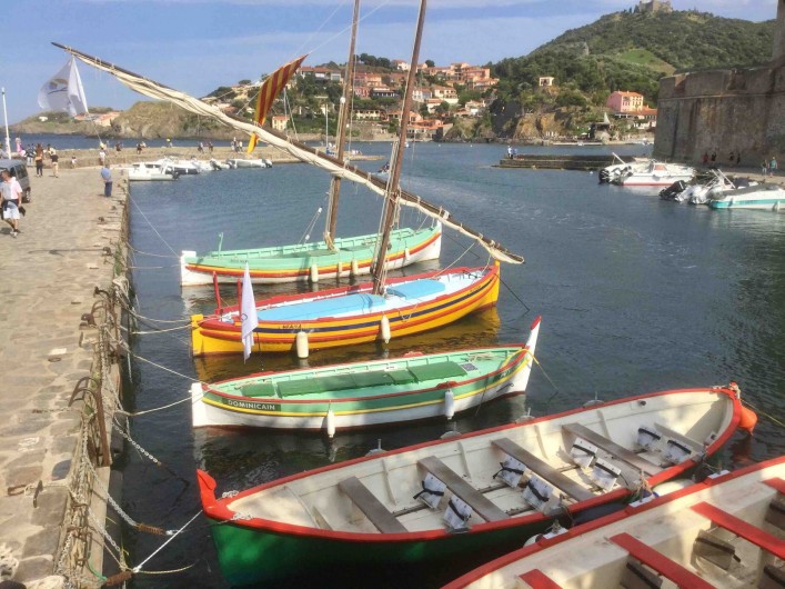 Location de vacances - Appartement à Collioure