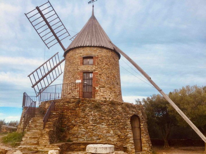 Location de vacances - Appartement à Collioure