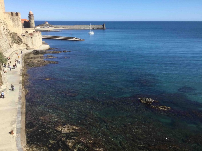 Location de vacances - Appartement à Collioure
