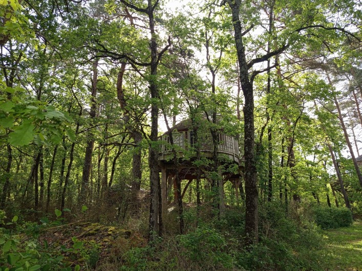 Location de vacances - Cabane dans les arbres à Rivière-sur-Tarn - La Cabane de Lily