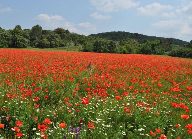 Location de vacances - Gîte à Sainte-Anastasie