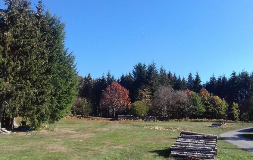 Location de vacances - Appartement à Corcieux - forêt