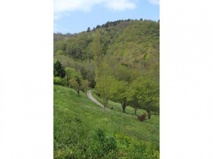 Location de vacances - Gîte à Saint-Étienne-de-Serre - L'Ardèche coin de nature