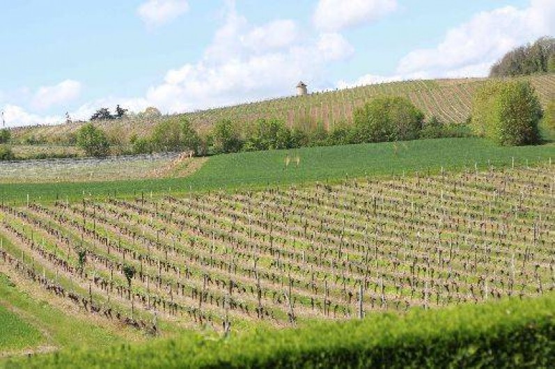 Location de vacances - Gîte à Caussens