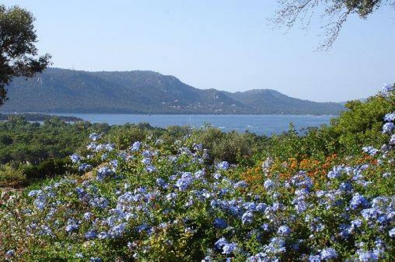 Location de vacances - Villa à Porto-Vecchio