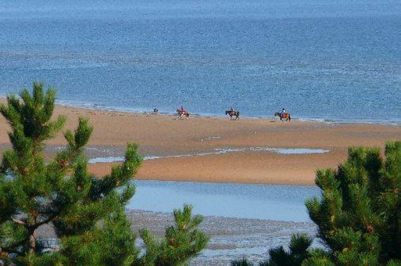 Location de vacances - Chambre d'hôtes à Bayeux